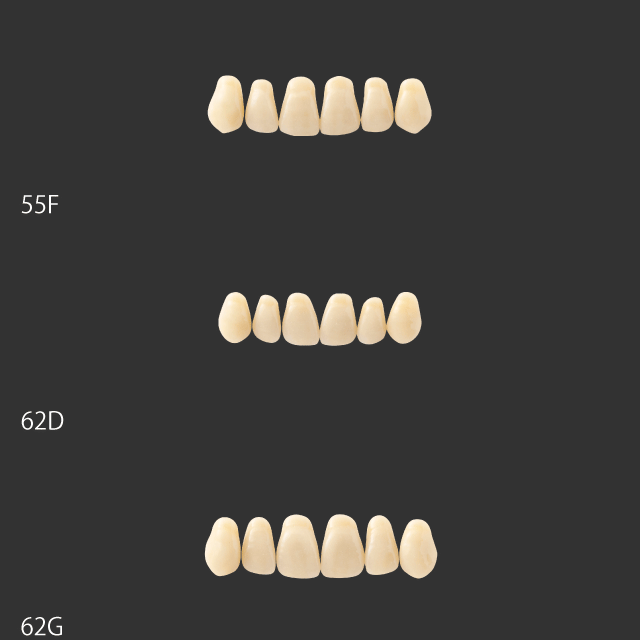 バイオブレンド陶歯 | mokuda 商品発注サイト ”Dental Portal Site m.find”